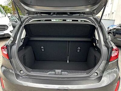 Ford Fiesta Active X 1.0 Klima Kamera PDCv+h SHZ LenkradHZG